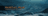 Server Logo